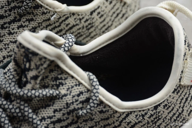 AQ4832 Boost Adidas YEEZY Dove 350 Turtle 0821